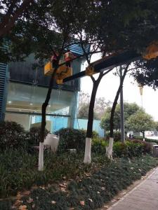 異形墻體高空作業(yè)清洗